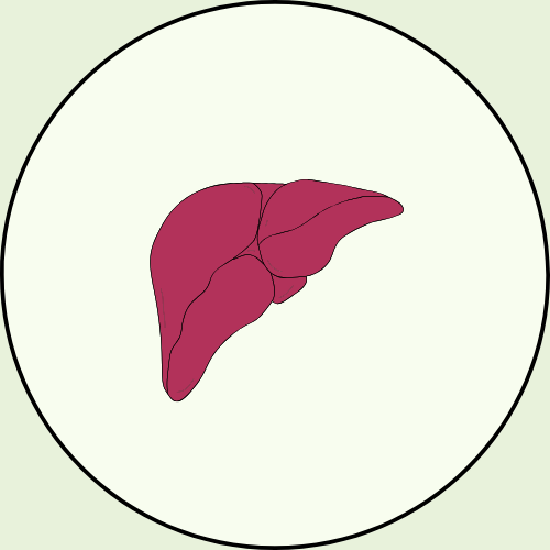 Chronic Liver Disease