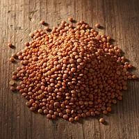 Lentils