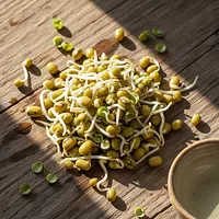 Sprouted moong beans