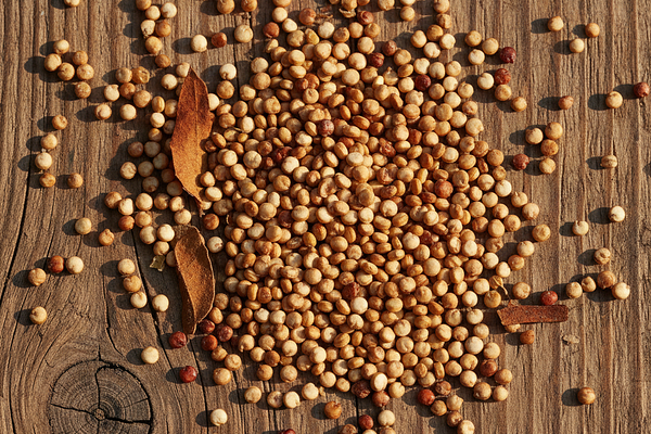 Whole grain quinoa - laghu, ruksha guna
