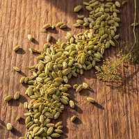 Fennel Seeds
